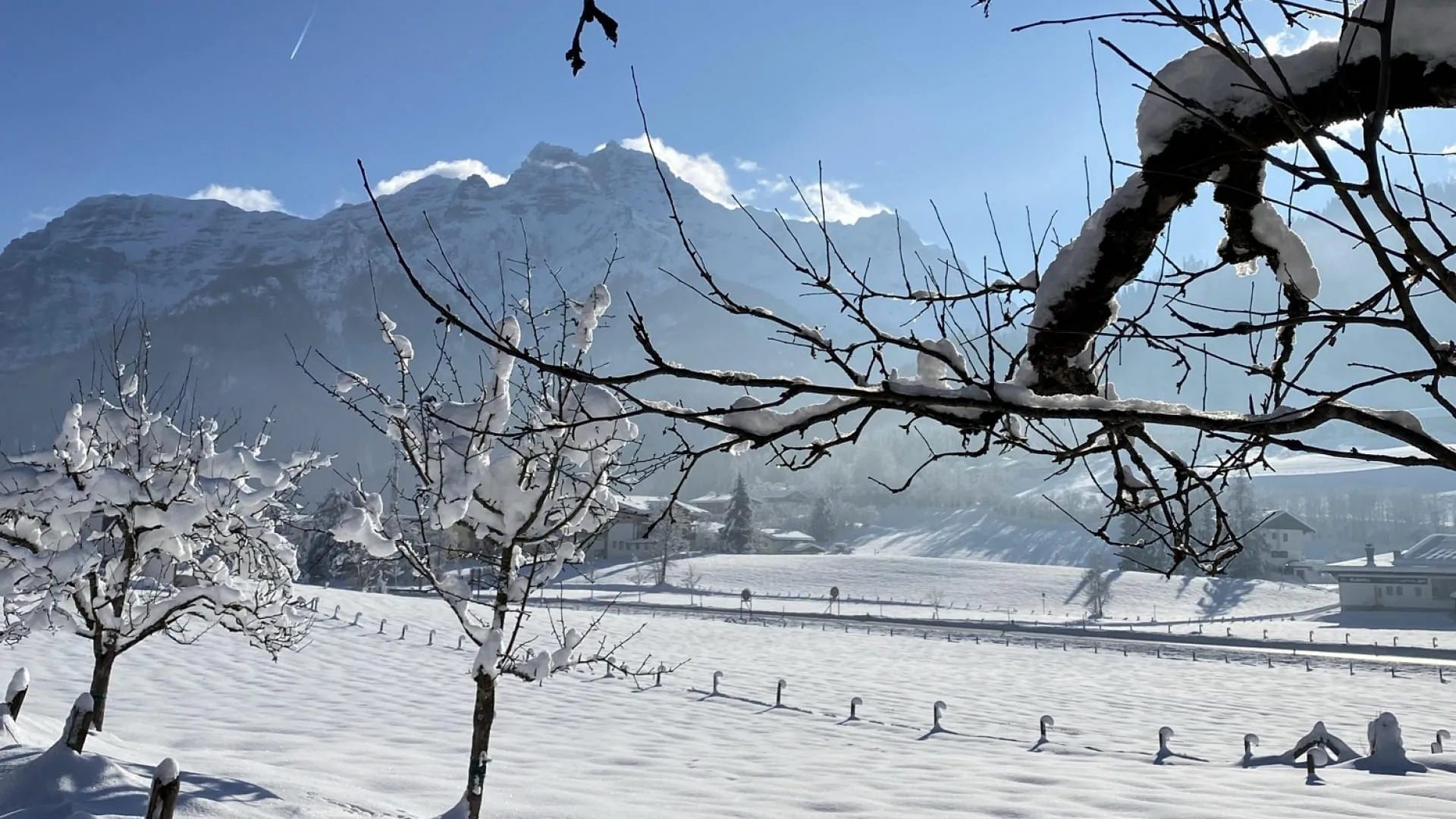 Winter